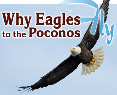 Why Eagles Fly to the Poconos LG