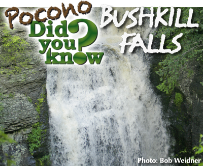 Bushkill Falls PDYK LG