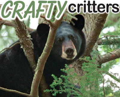 Crafty Critters LG