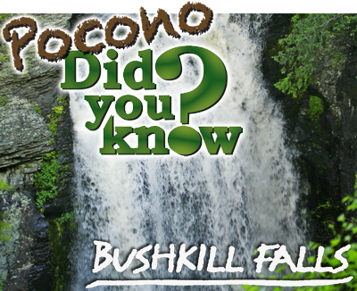 PDYK Bushkill Falls LG