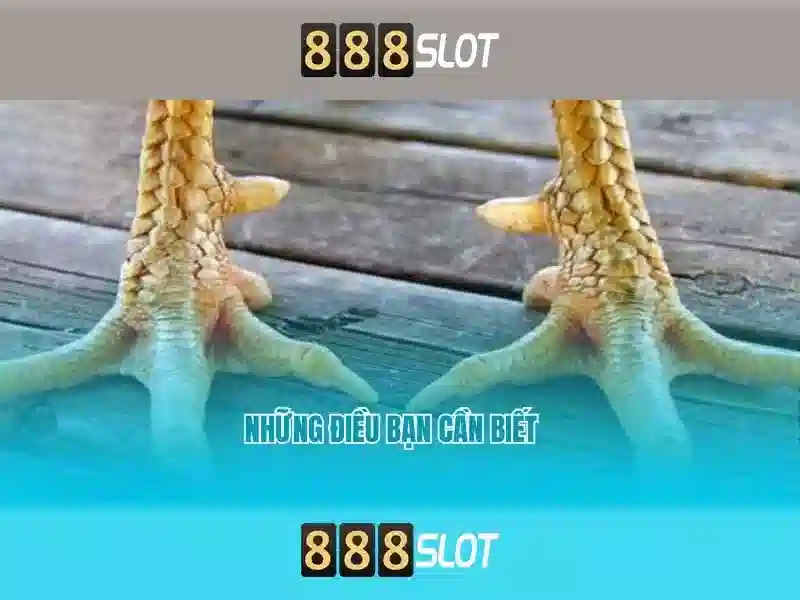 888 slot app – Tổng quan chủ đề và giá trị cốt lõi