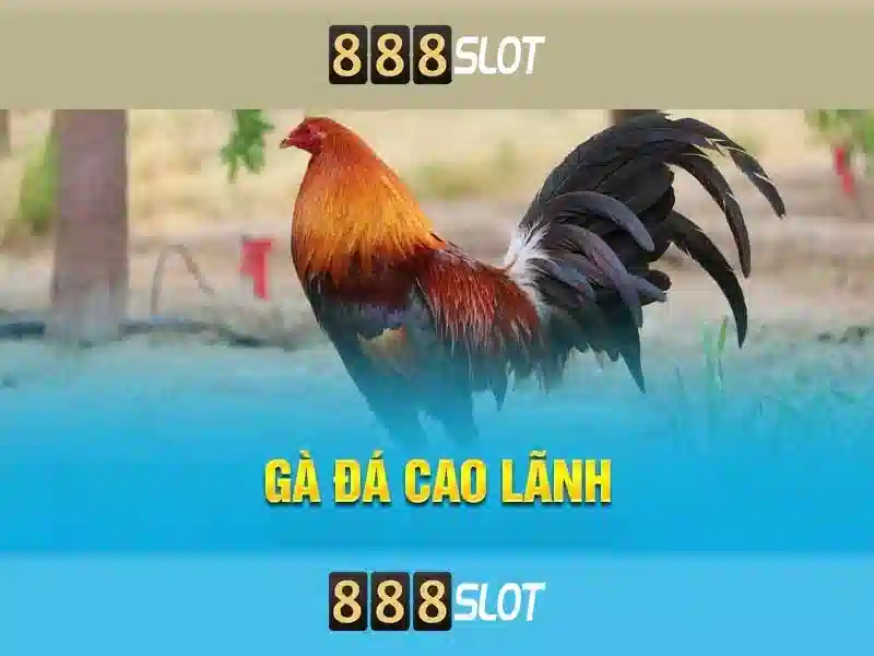 Thế giới trò chơi phong phú tại 888slot