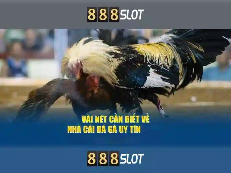 Giới thiệu về 888slot