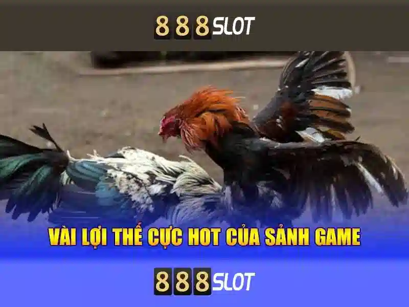 888slot là gì?