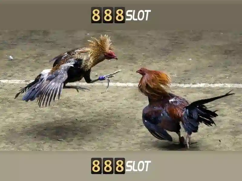 Nguồn gốc và sứ mệnh của lucky slot 888 เครดิตฟรี