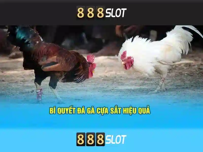 An toàn và độ tin cậy của 888Slot\n