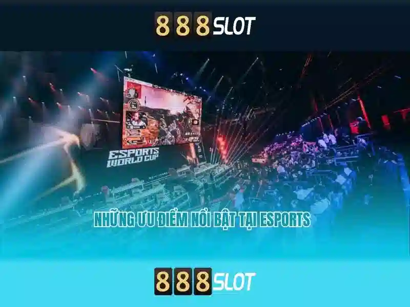 Hỗ trợ khách hàng và thanh toán