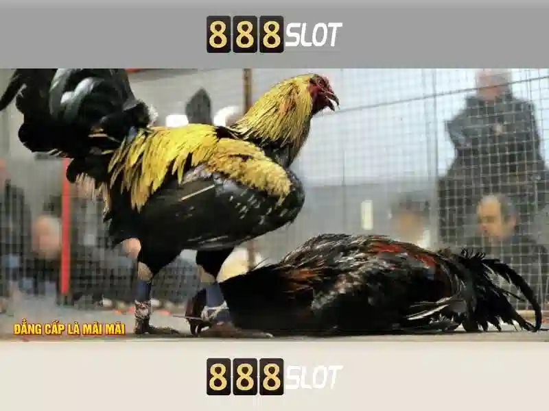 888slot: Trải nghiệm casino trực tuyến đáng tin cậy