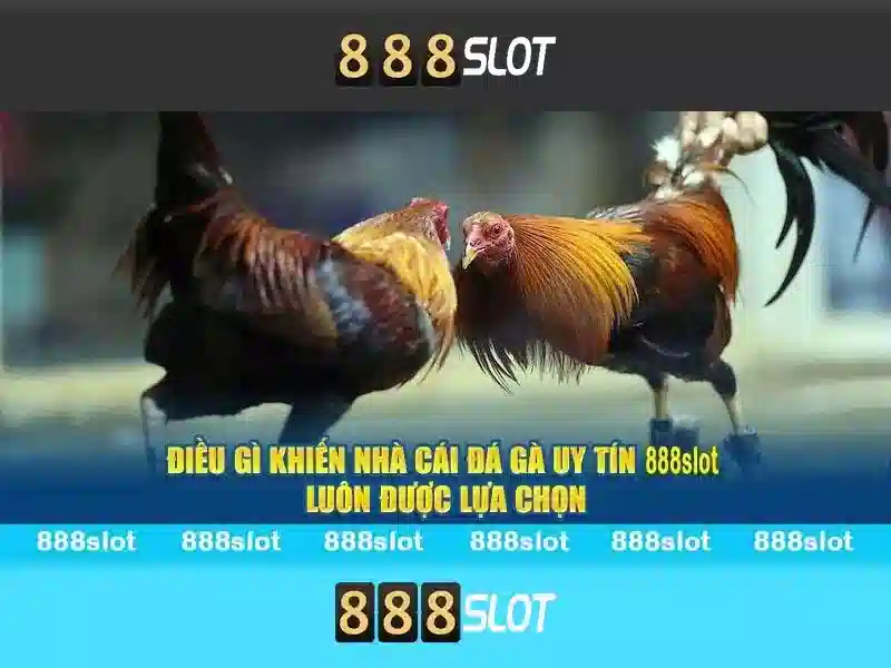 Tại sao chọn 888slot?