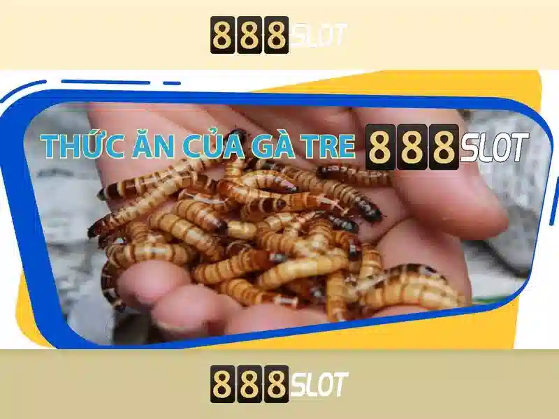An toàn, bảo mật và thanh toán