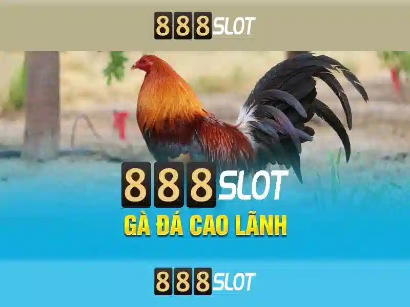 888slot - Trang web casino trực tuyến an toàn và tiện ích