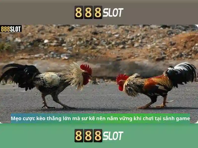 888slot - Đánh giá và Trải nghiệm Slot Trực Tuyến