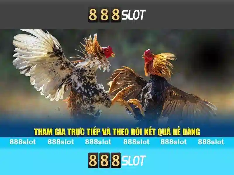 Giao diện nhà cái hoàn hảo
