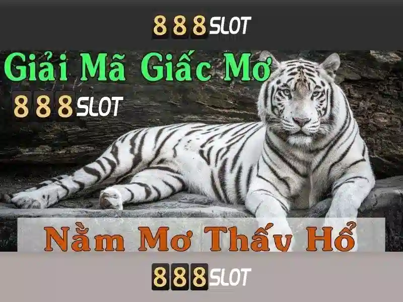 888slot - Đánh giá tổng quan về sòng bạc trực tuyến