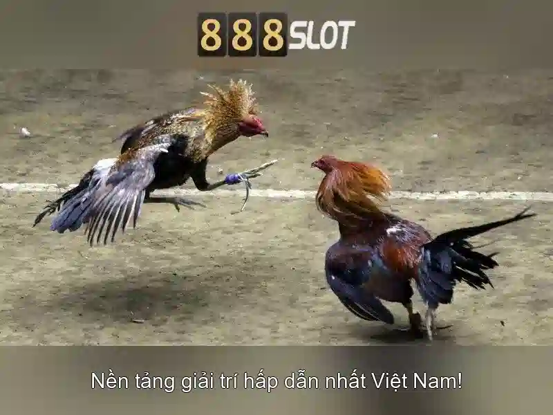 888slot - Giới thiệu nhanh