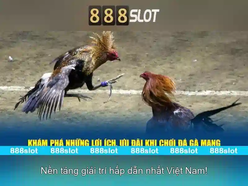 An toàn và bảo mật