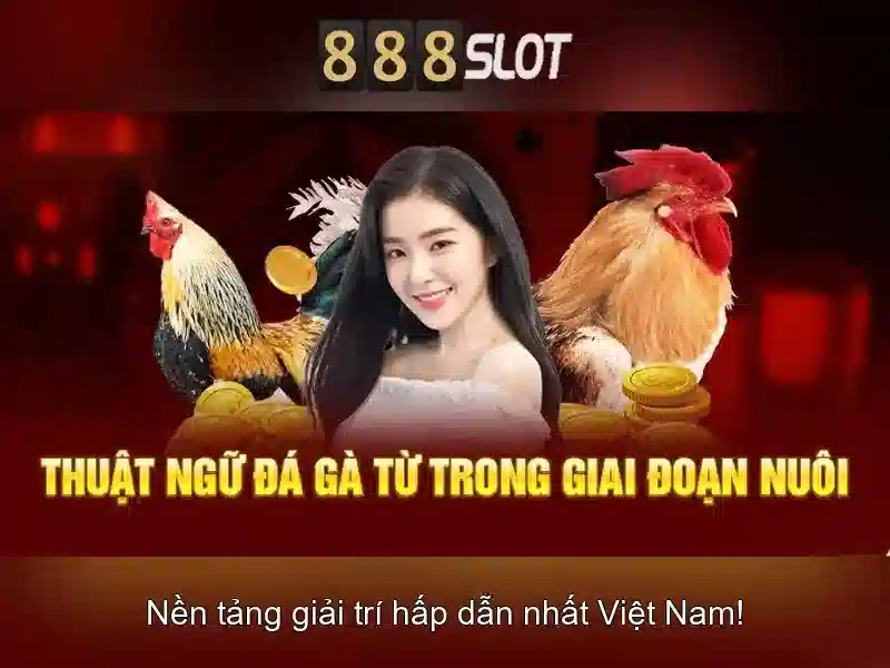 kaisar 888 slot login – Tổng quan chủ đề và giá trị cốt lõi