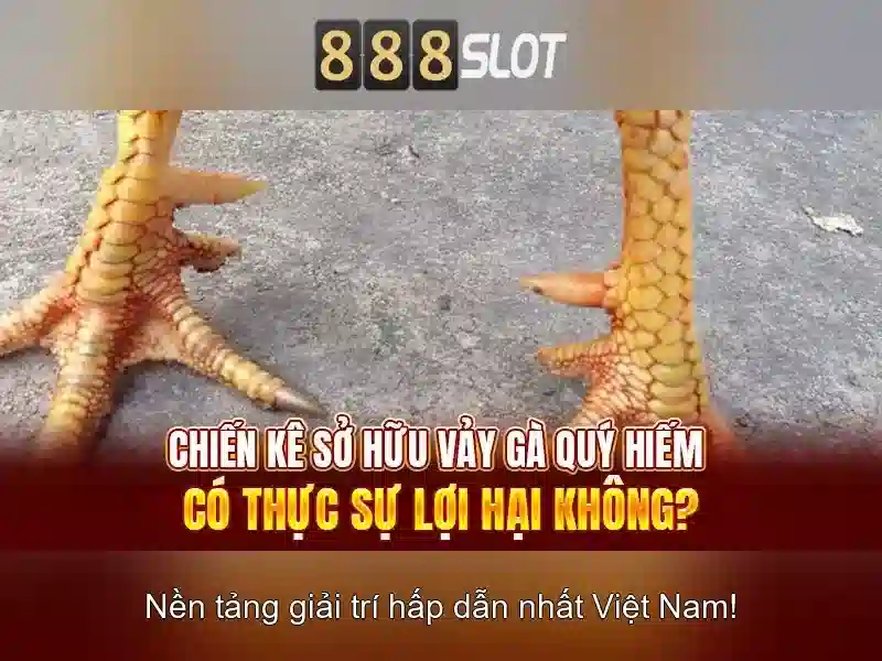 Trải nghiệm người dùng tối ưu\n