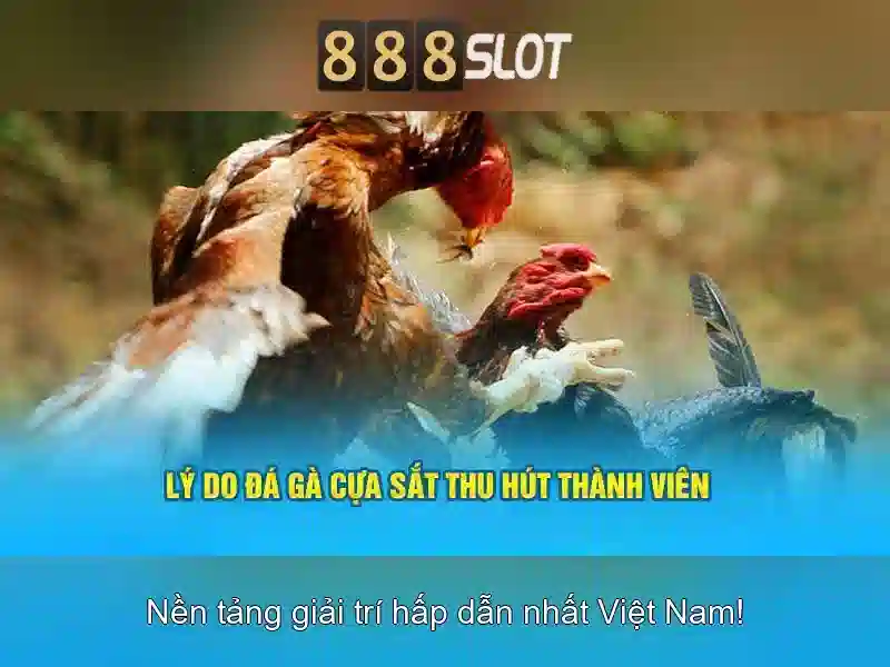 Trải nghiệm người dùng và đồ họa