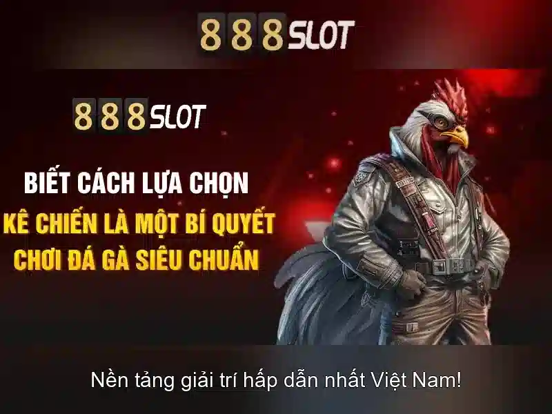 Kết luận và hỗ trợ khách hàng