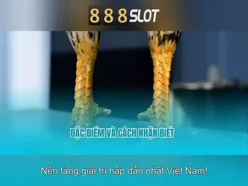 888Slot - Trải nghiệm chơi slot trực tuyến đỉnh cao tại Việt Nam Giao diện nhà cái hoàn hảo
