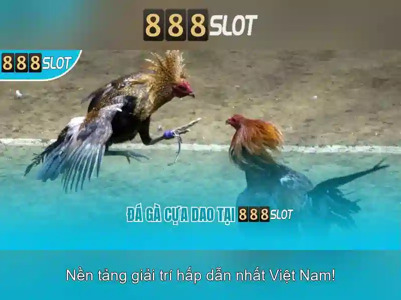 Trò chơi và slot\n\n